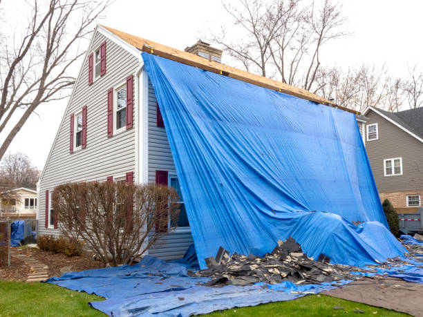 Best Basement Cleanout  in Canfield, OH